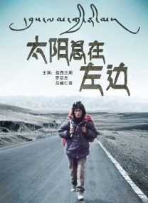 国内精品久久久久女同